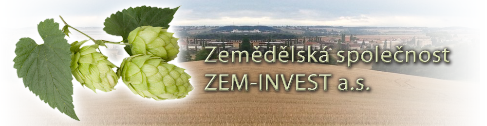 ZEM-INVEST a.s.